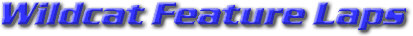 wildcat.jpg (7953 bytes)