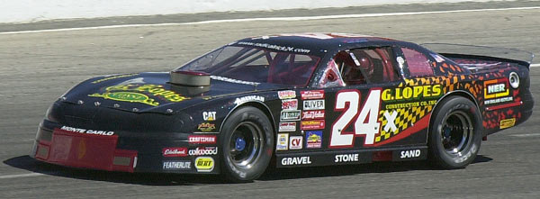 24x-600-DSC_3100.jpg (39455 bytes)