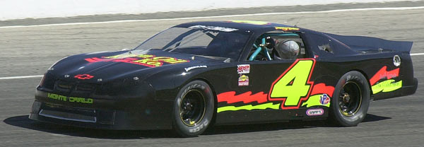 4-600-DSC_3173.jpg (30701 bytes)