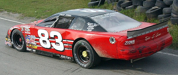 600-83-DSC_4040.jpg (58772 bytes)